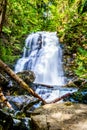 Whitecroft Falls near the town of Whitecroft in BC, Canada