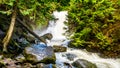 Whitecroft Falls, a waterfall on McGillivray Creek and a short hike from Sun Peaks Road near the town of Whitecroft