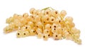 Whitecurrant bunch (Ribes Rubrum)