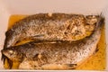 Whitefish fresh fish baked in the oven in its own juice with spices