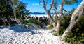 WHITEHAVEN BEACH, AUSTRALIA - AUGUST 22, 2018: Trees along the beach in the Whitsundays with tourists Royalty Free Stock Photo