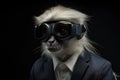 Whiteheaded Langur In Suit And Virtual Reality On Black Background Royalty Free Stock Photo