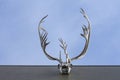 Whitehorse, Canada. Horizontal view of caribou skull with antlers hanging outside from a building roof with sky in the background. Royalty Free Stock Photo