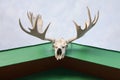 Whitehorse, Canada. Moose skull with antlers hanging outside from a green building roof with sky in the background. Royalty Free Stock Photo