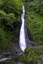 Whitelady waterfall in rain - Lydford, Dartmoor National Park, Devon, United Kingdom