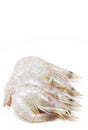 Whiteleg shrimp. Royalty Free Stock Photo