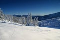 Whiteness in Giant Mountains / Karkonosze