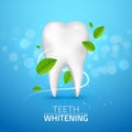 Whitening tooth ads, with mint leaves on blue background. Green mint leaves clean fresh concept. Teeth health