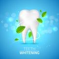 Whitening tooth ads, with mint leaves on blue background. Green mint leaves clean fresh concept. Teeth health