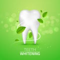 Whitening tooth ads, with mint leaves on green background. Green mint leaves clean fresh concept. Teeth health