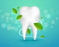 Whitening tooth ads, with mint leaves on green background. Green mint leaves clean fresh concept. Teeth health