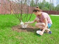 She whitens the trees. Royalty Free Stock Photo