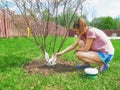 She whitens the trees. Royalty Free Stock Photo