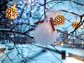 Whiter Snowy Christmas ball on tree branch with silver blue illumination holiday decoration in Tallinn old town Royalty Free Stock Photo