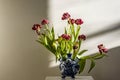 Whitered red tulips in a Delft blue and white Dutch vase Royalty Free Stock Photo