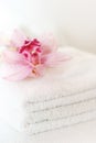 Whites towels Royalty Free Stock Photo