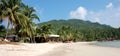 Whitesand beach with palms