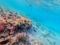 Whitespotted Puffer (Arothron hispidus) at coral reef Royalty Free Stock Photo