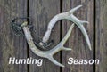 Whitetail deer antlers for rattling antlers with Hunting Season text.