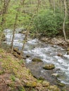 Whitetop Laurel Creek along the Virginia Creeper Trail Royalty Free Stock Photo