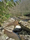 Whitetop Laurel Creek near Damascus, Virginia Royalty Free Stock Photo