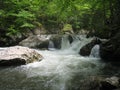 Whitetop Laurel Creek Waterfall Royalty Free Stock Photo