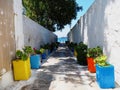 Whitewashed Ally With Colorful Planters