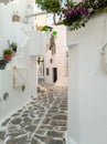 Whitewashed buildings empty alley at Naousa village, Paros island, Greece. Vertical Royalty Free Stock Photo