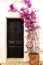 Whitewashed facade with old wooden door and bougainvillea in Altea Royalty Free Stock Photo