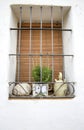 Whitewashed facade with window with forged metal grill