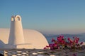 Whitewashed House with Chimney and Pink Flowers with Sea View an