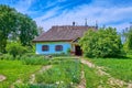 The whitewashed house and green garden, Pereiaslav Scansen, Ukraine