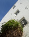 Whitewashed House in Maastricht, Netherlands