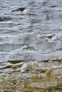 An old whitewashed stone wall, vertical aspect 03