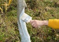 Whitewashing fruit tree in autumn. Gardener painting in white paint fruit tree trunk