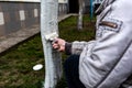 Whitewashing of fruit trees in spring. Care of the garden. Hand with a brush paints a tree to protect it from harmful insects.