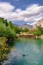 Whitewater Canyon Oasis Royalty Free Stock Photo