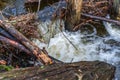 Whitewater Creek Close-up