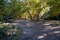 The Whitewater Creek picnic area near the Catwalk, in Gila National Forest New Mexico