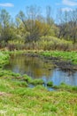 Whitewater Creek - Walworth County, Wisconsin