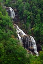 Whitewater Falls, North Carolina Royalty Free Stock Photo