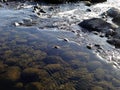 Shallow water view of Kuma river bottom in Japan