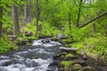 Bushkill falls whitewater river landscape overcast day Royalty Free Stock Photo