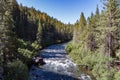 Whitewater Rapids in California Forest