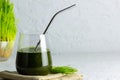 Whitgrass in a glass. Wheatgrass juice. healthy eating trend