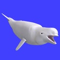 Whitle female beluga whale Royalty Free Stock Photo