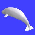 Whitle female beluga whale Royalty Free Stock Photo