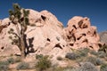 Whitney Pocket, Nevada, USA