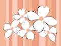 Whitre flowers background