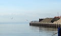 Whitstable Harbour